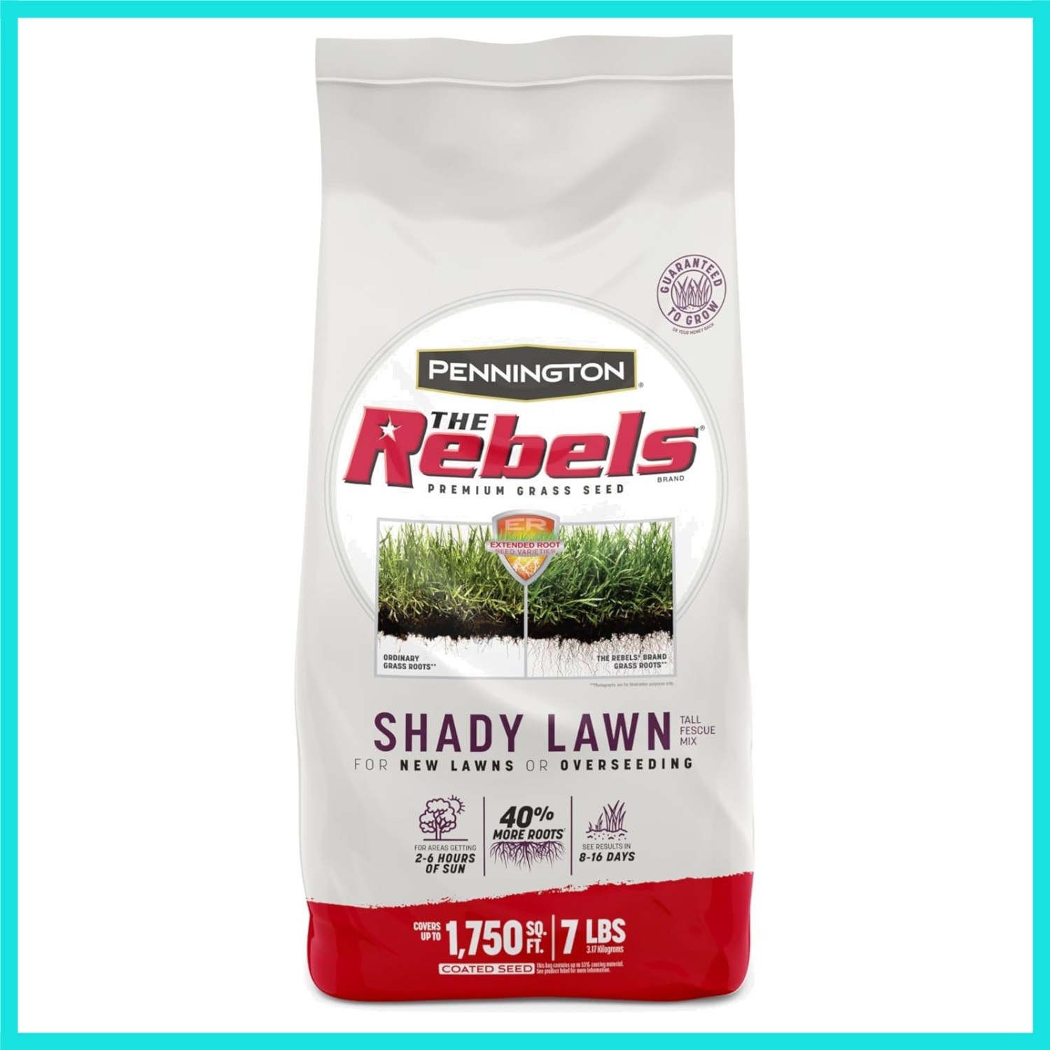 The Rebels Tall Fescue Shady Grass Seed Mix 7 lb