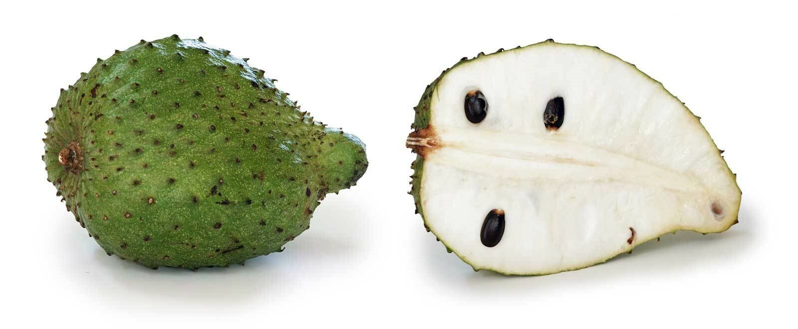 Annona muricata | Soursop | Dutch Durian | Guanabana | 5_Seeds