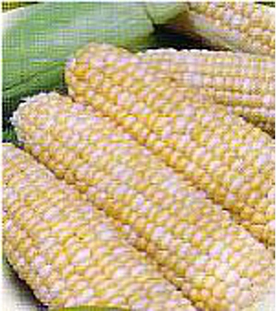 Peaches and Cream Corn Seeds (25+ Seeds)(More Heirloom, Organic, Non GMO, Vegeta