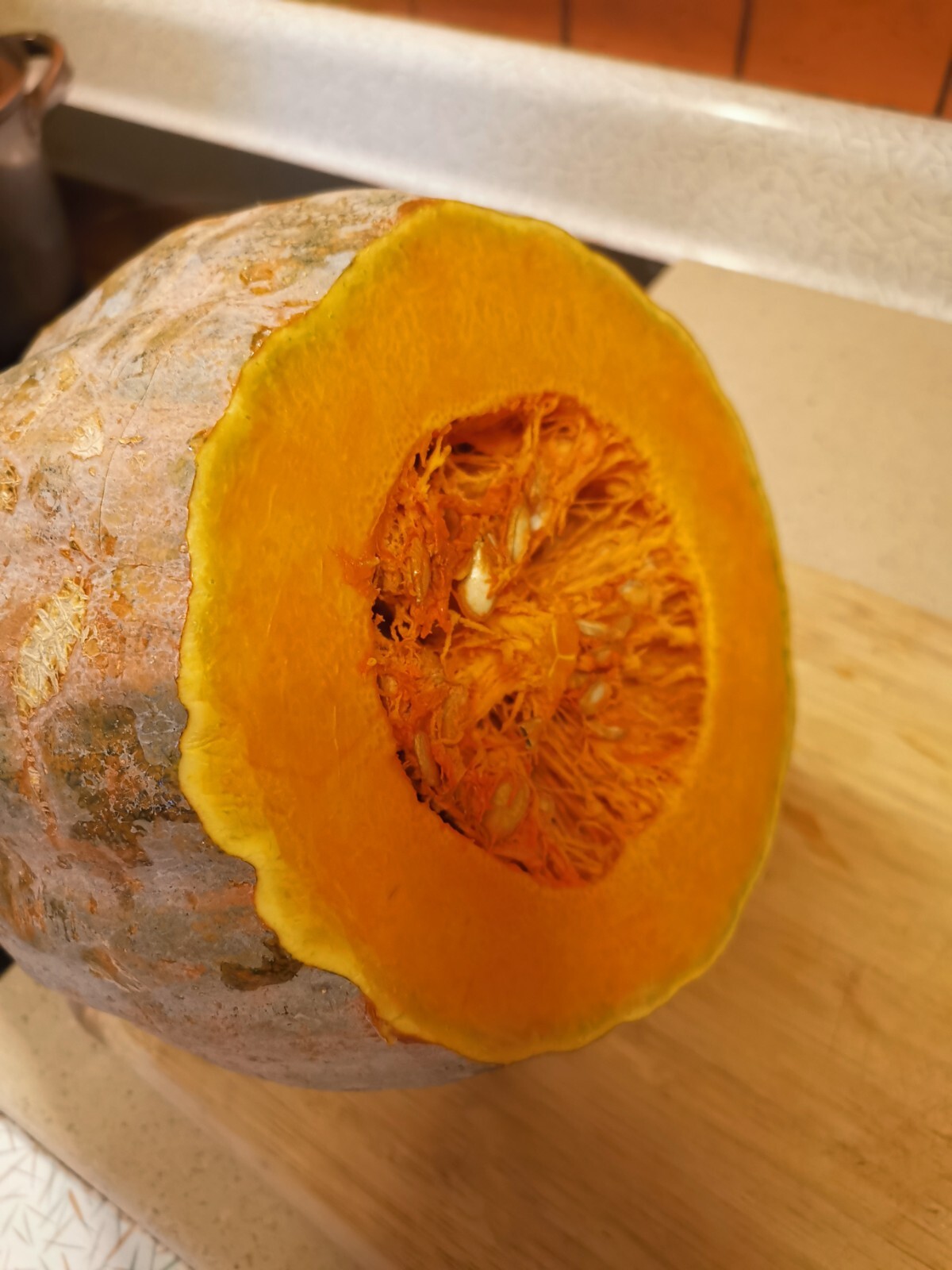 10 Organic Super Sweet Pumpkin Seeds from USA 2024