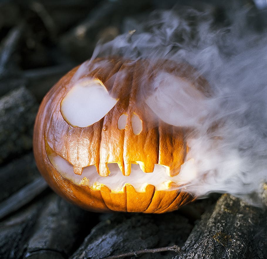 Connecticut Field Pumpkin Seeds | Patch Pumpkins Heirloom Vegetable Seed 2024
