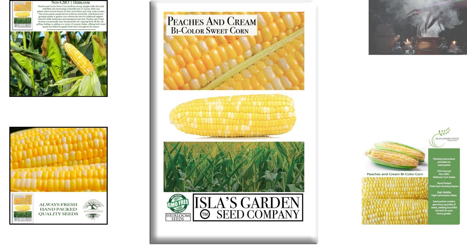 25+ Peaches and Cream Sweet Corn Seeds – Heirloom, Non-GMO for Garden Gifting
