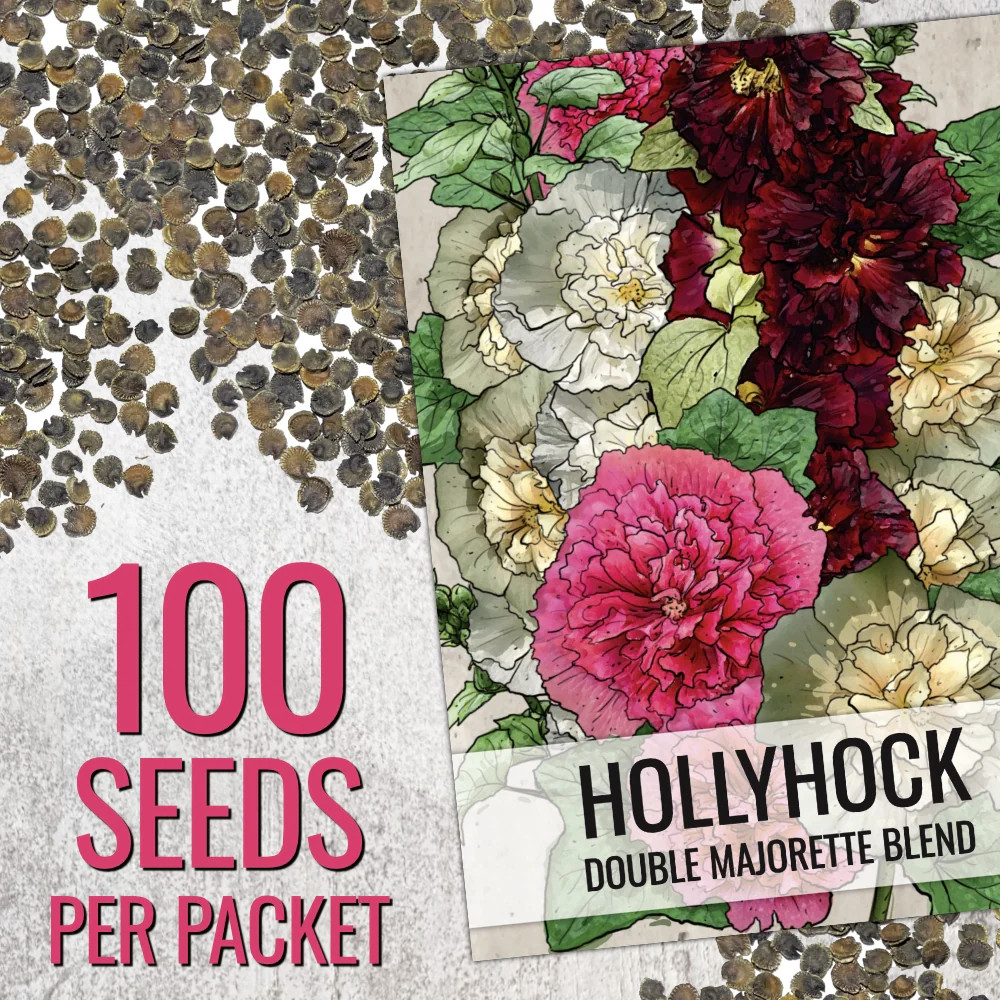 Double Majorette Hollyhock Mixture (Alcea rosea)