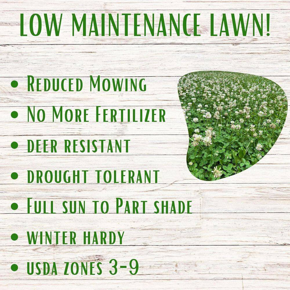 Dutch White Clover Flower Lawn Seed Kit, Easy Spread Shaker, Low Mnt, Alt Ground