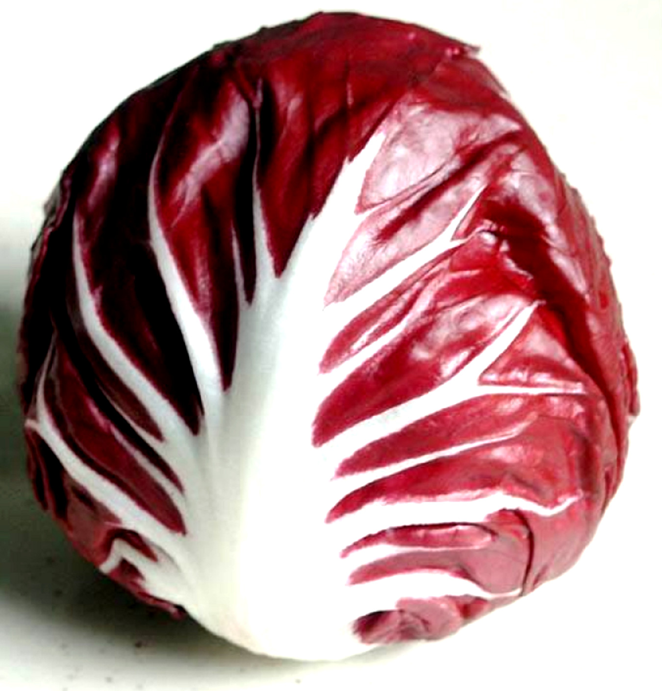 Red Verona Radicchio Chicory Seeds 300+ SEEDS NON-GMO –BUY 4 ITEMS FREE SHIP