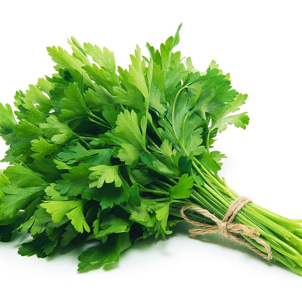 Italian Parsley Heirloom Seeds – Non GMO – 200 Seeds