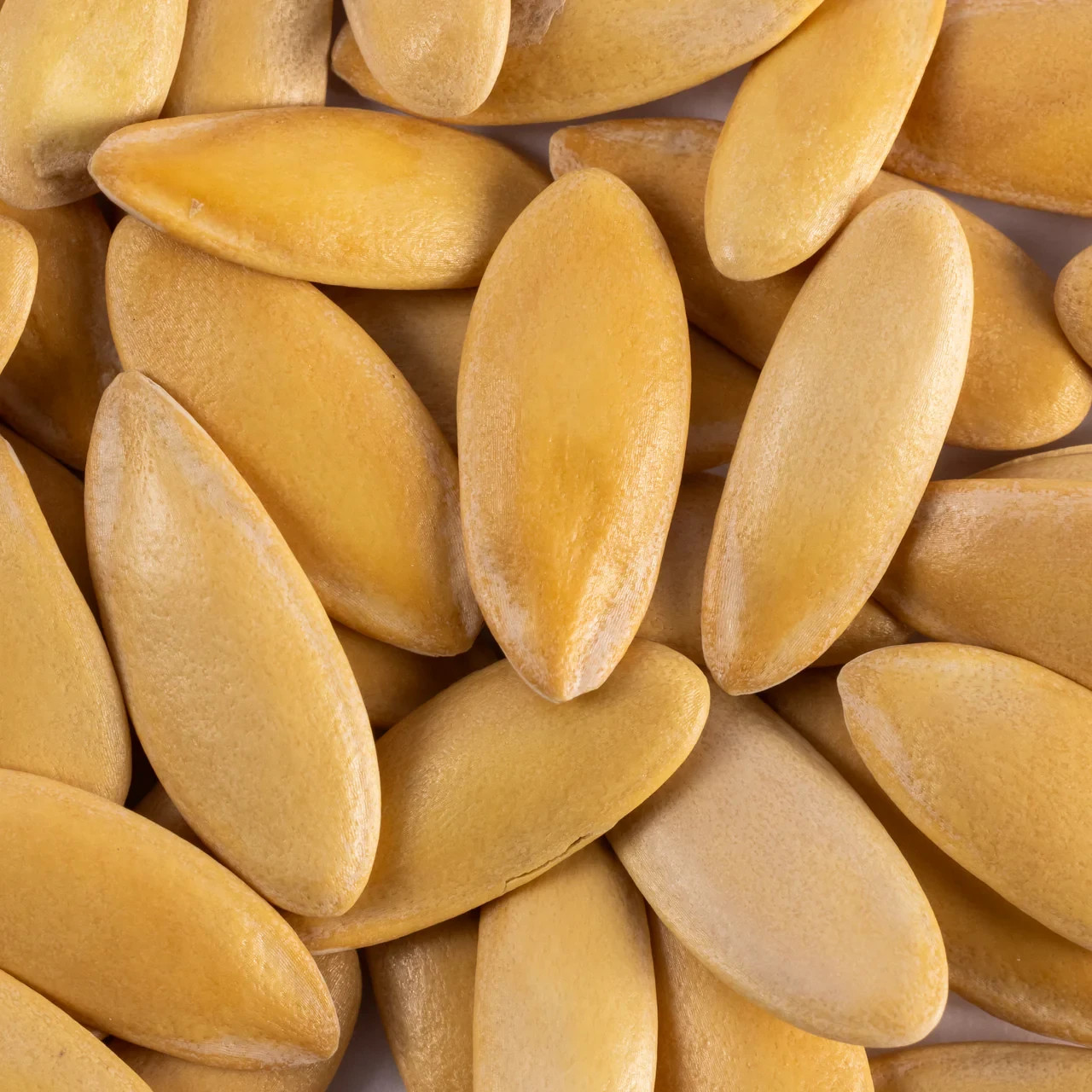 SEEDS – Honeydew Melon – Green Flesh