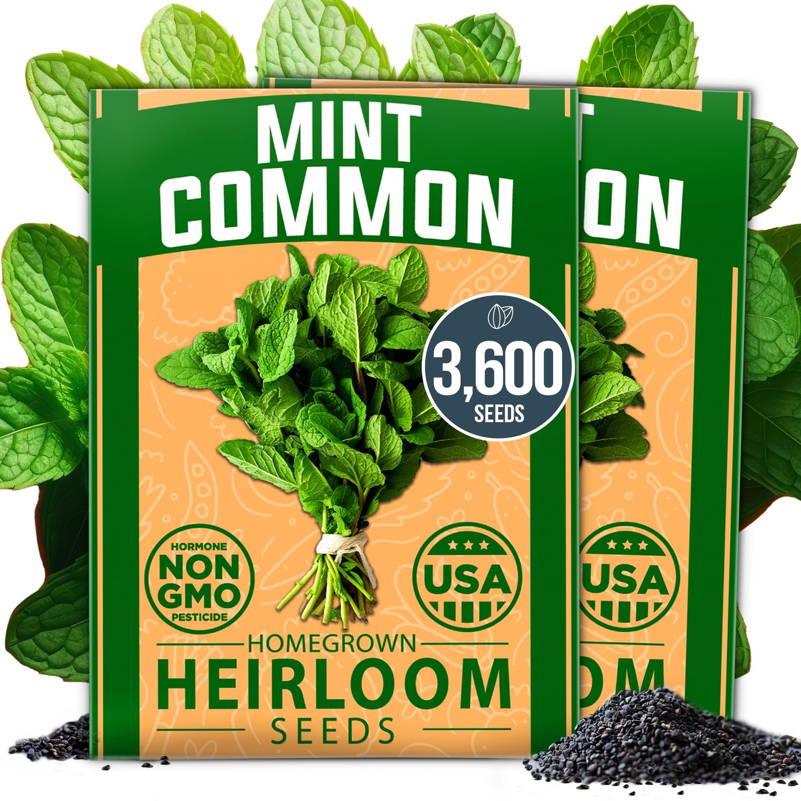 HOME GROWN Premium Common Mint Seeds Bulk Pack 3,600 Heirloom Herb Seeds, USA…