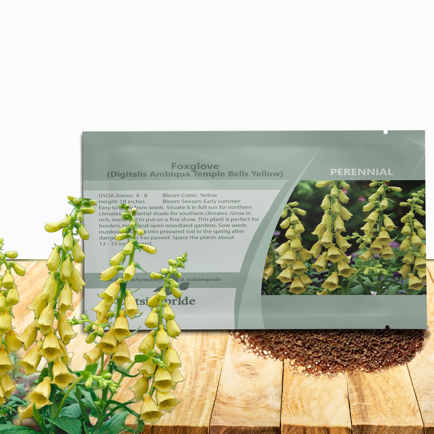 2000 seeds Foxglove Seeds – Digitalis Yellow Wildflower Seed