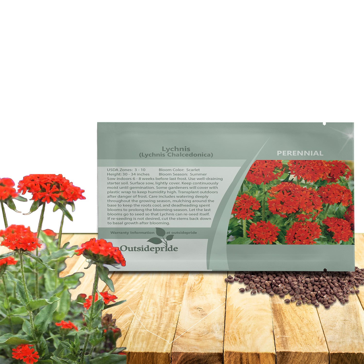5000 Seeds Lychnis Seeds – Maltese Cross Lychnis Chalcedonica Flower Seed