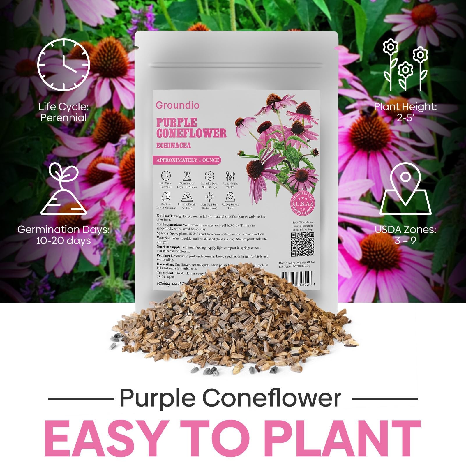 Purple Coneflower Seeds 1 OZ, Perennial Open Pollinated NonGMO Echinacea Seed…