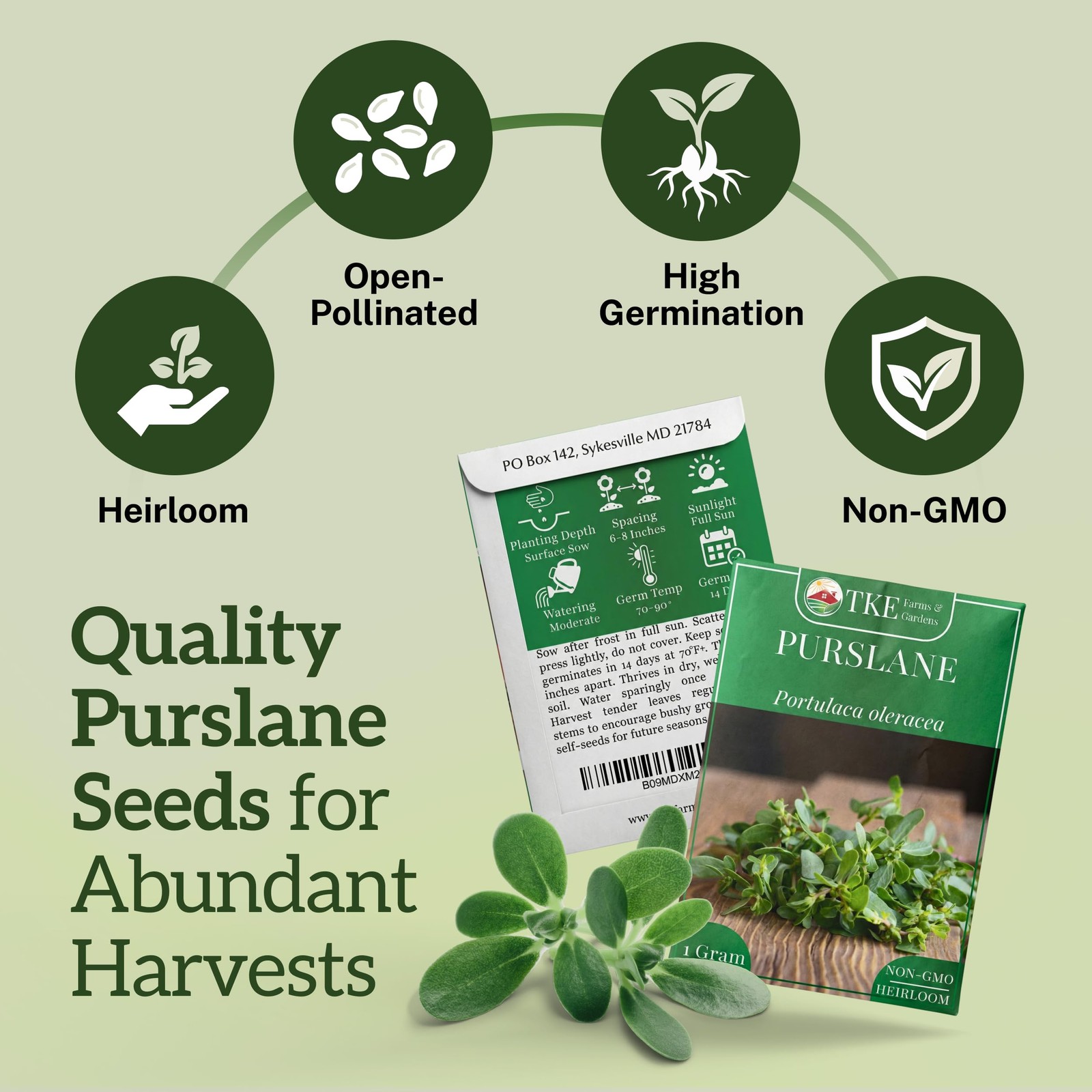 Purslane Seeds for Planting 1 Gram Packet, 2000+ NonGMO Heirloom Seeds, High…