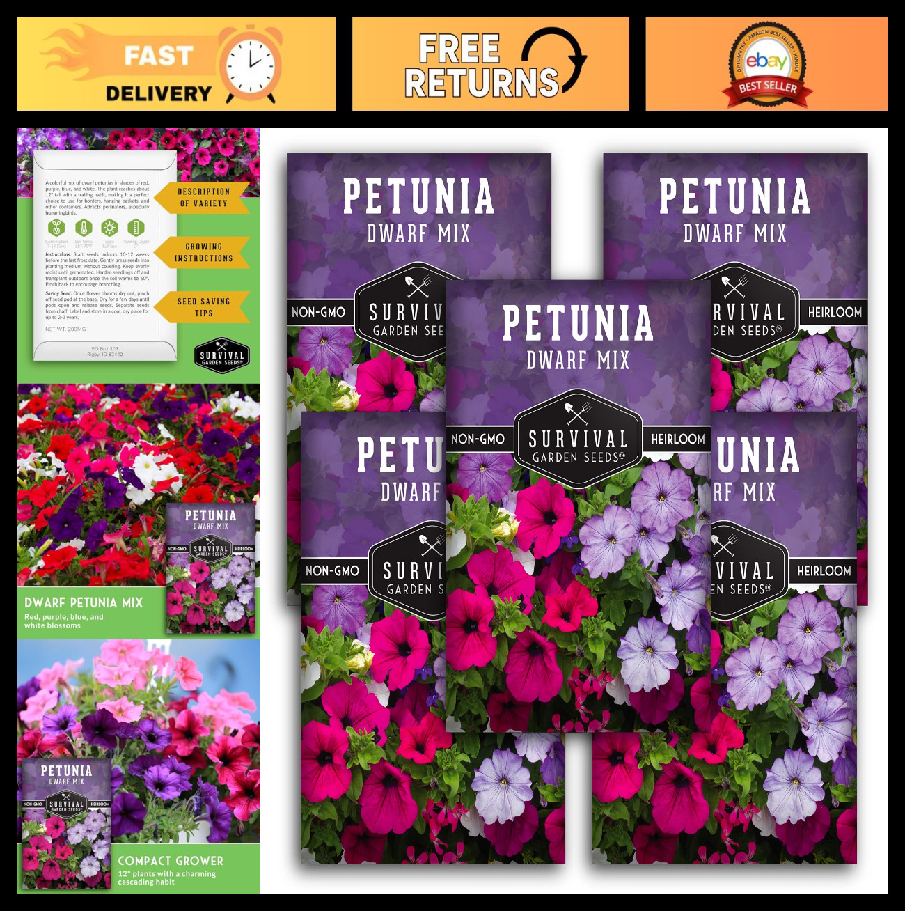Colorful Dwarf Petunia Seed Mix – Non-GMO Heirloom Flower Seeds for Pollinators