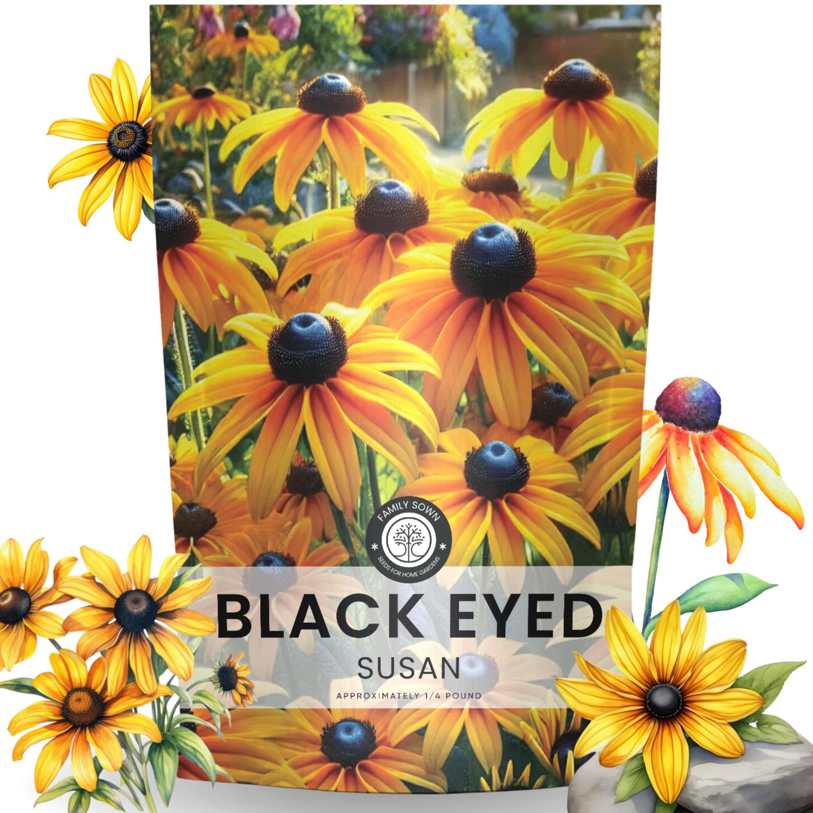 Black Eyed Susan Bulk 1/4 Pound Pouch 400,000 Flower Seeds for Planting Ru…