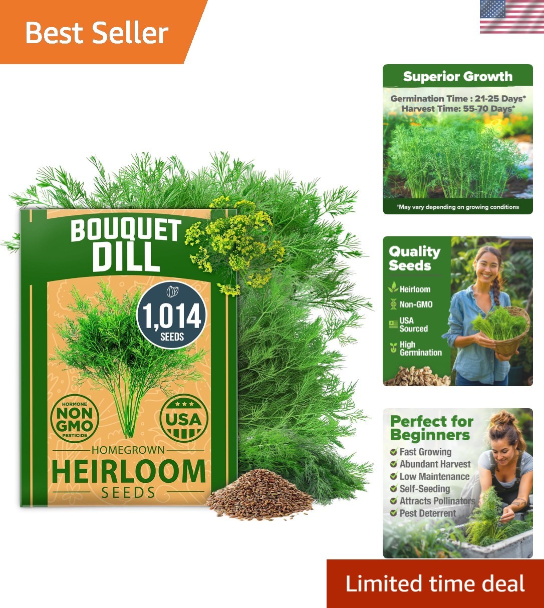 Grow Fragrant Dill with 1,014 Non-GMO Heirloom Seeds – Perfect for Pickling