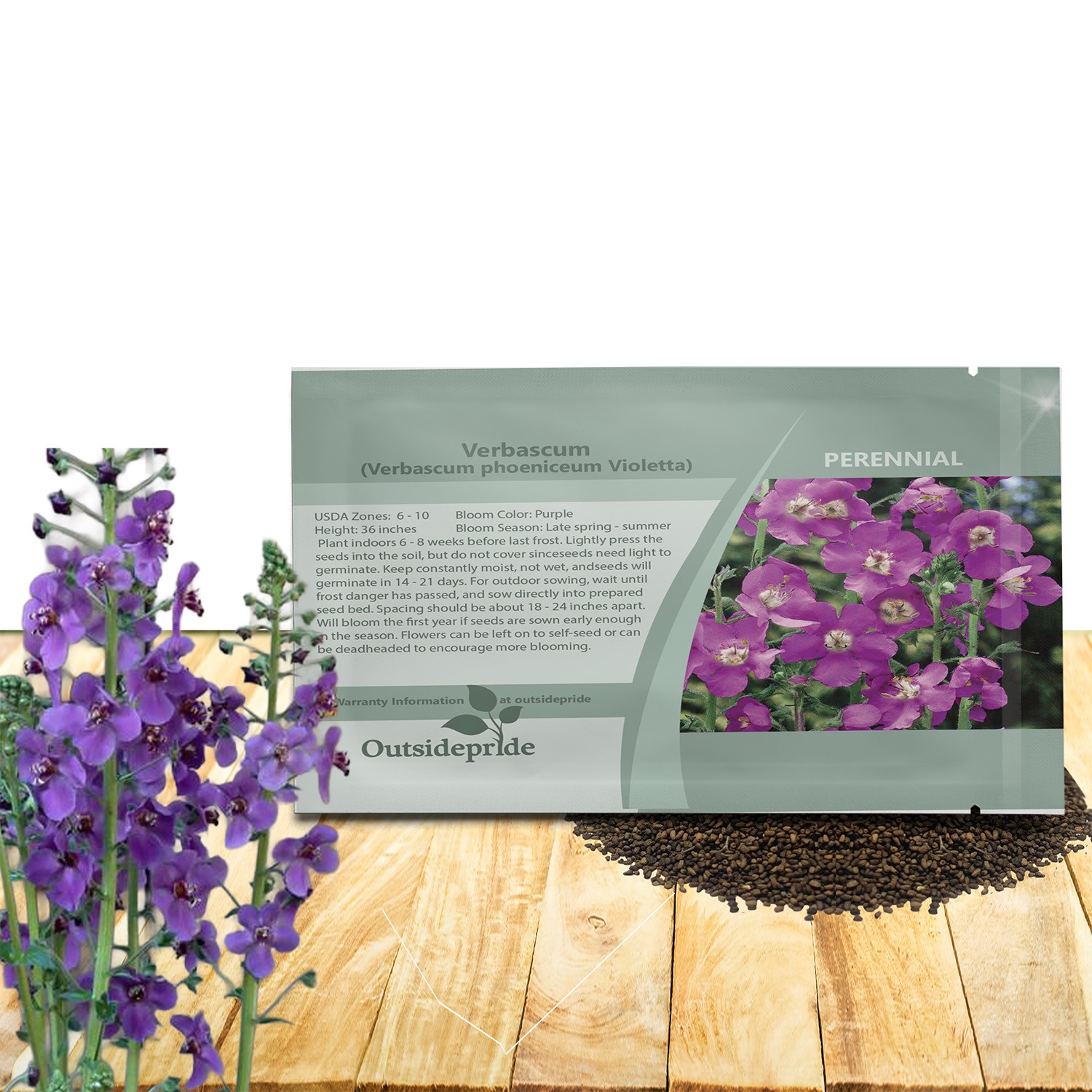 1000 Seeds Verbascum phoeniceum Violetta Mullein Garden Flower Plant Seeds