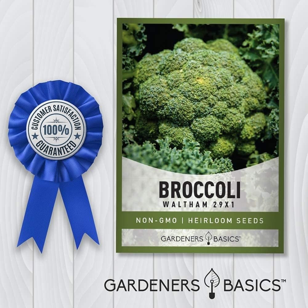 Broccoli Seeds for Planting is A Great Heirloom, Non-GMO Vegetable Variety- 1…