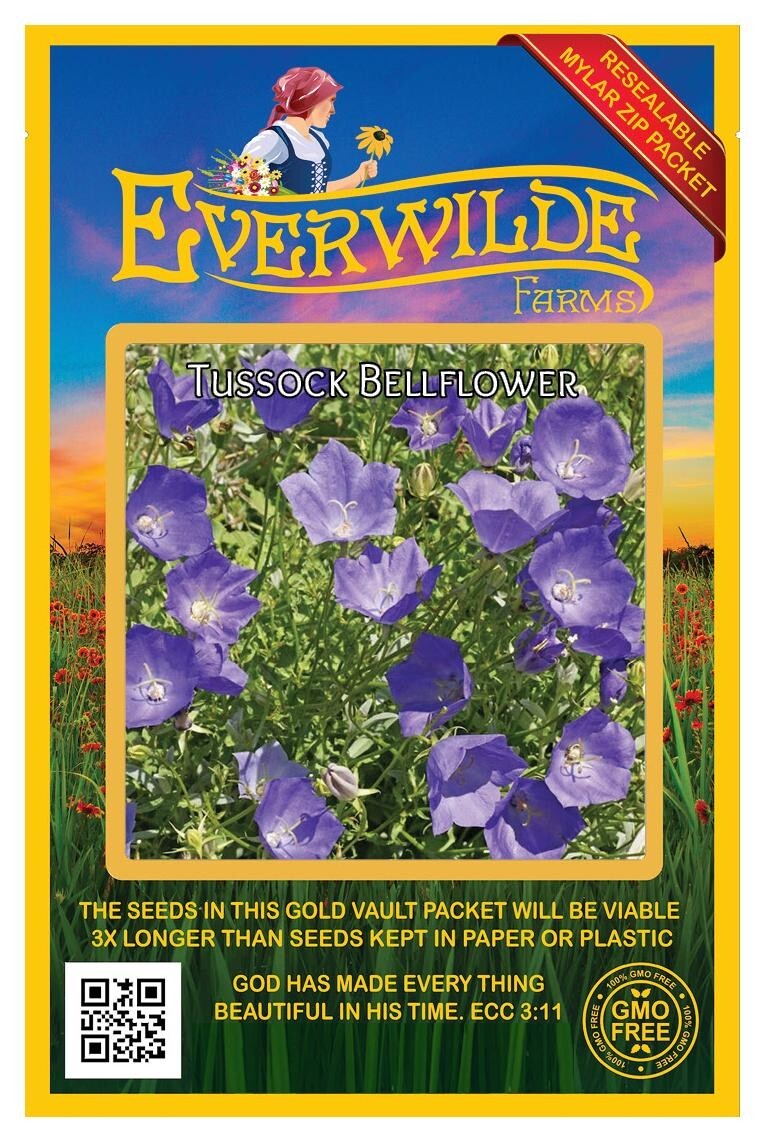 2000 Tussock Bellflower Wildflower Seeds – Everwilde Farms Mylar Seed Packet