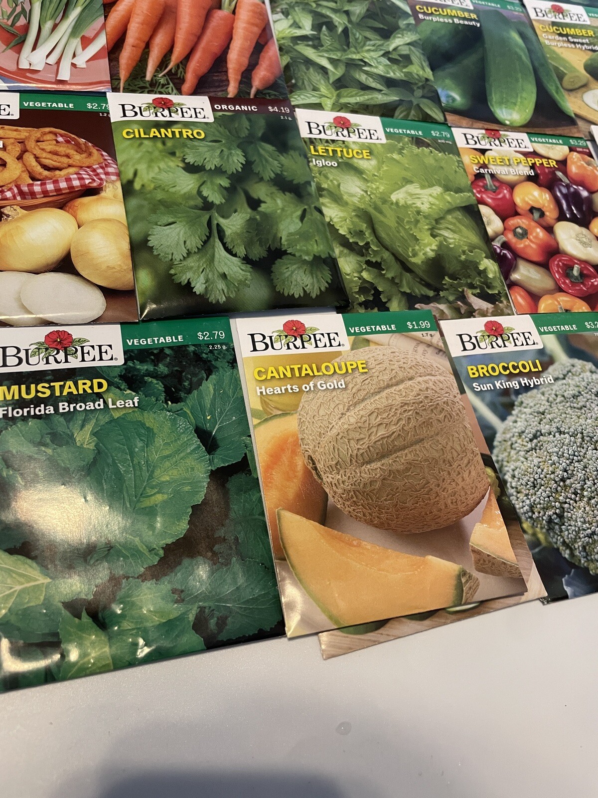 Burpee Garden Seeds Lot of 22 Packs – Vegetable & Herbs Dated 2021