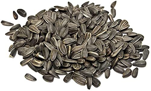 Black Oil Sunflower Seeds for Planting – 200+ Seeds – Made in USA – Attract Bird