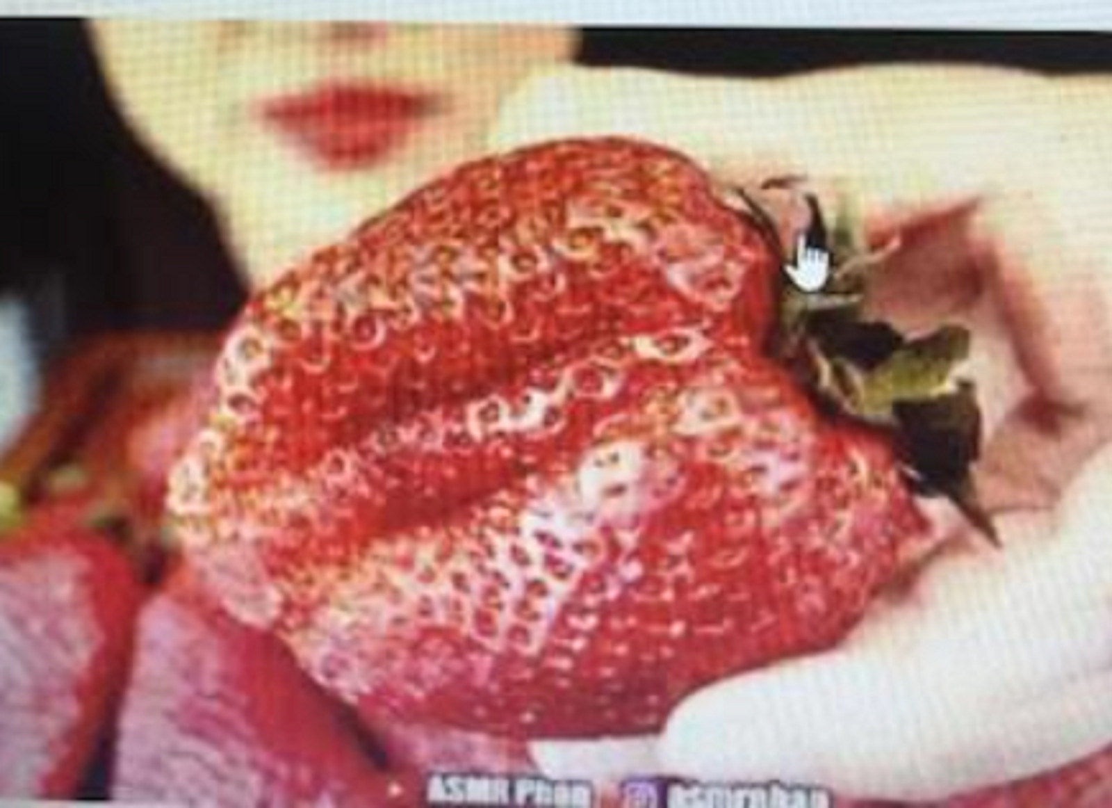 RARE JUMBO STRAWBERRY fruit Tree 20 SEEDS- Combined Shipping disc (USA seller)