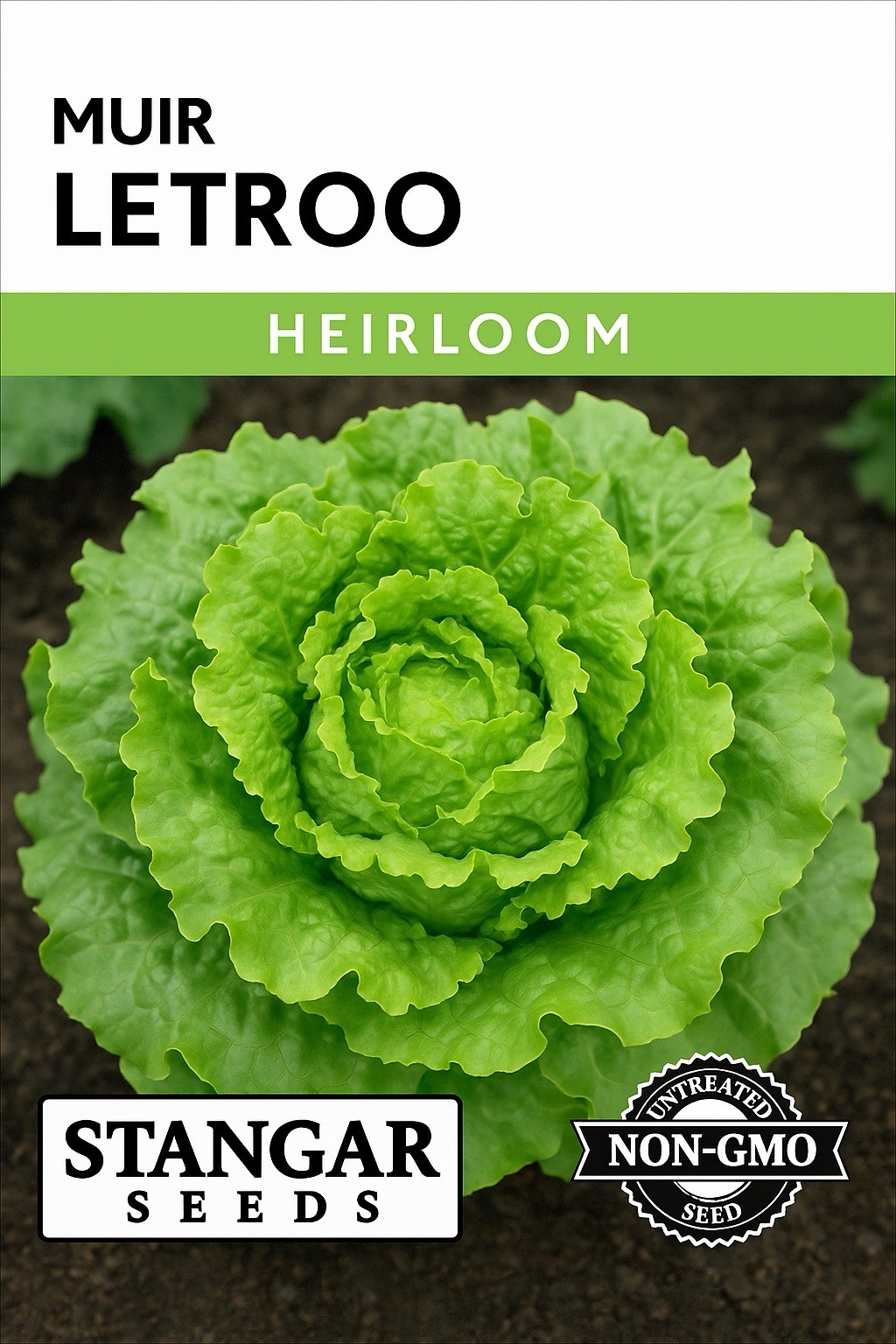 Stangar’s Muir Letroo Lettuce Seeds