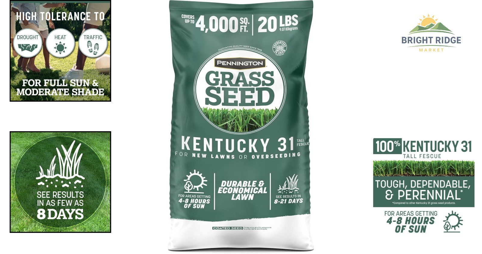 Kentucky 31 Tall Fescue Grass Seed 20 lb for Durable Lawn and Quick Growth