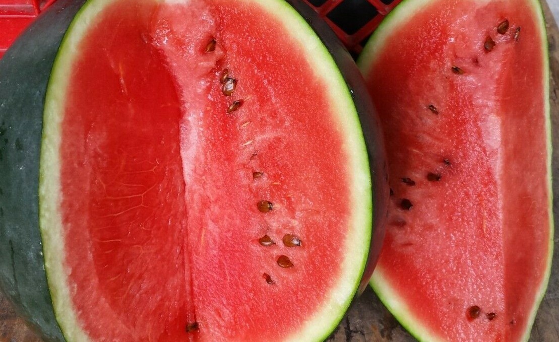 50+ SEEDS SUGAR BABY WATERMELON SUPER SWEET FRUIT HEIRLOOM NON-GMO MELON USA