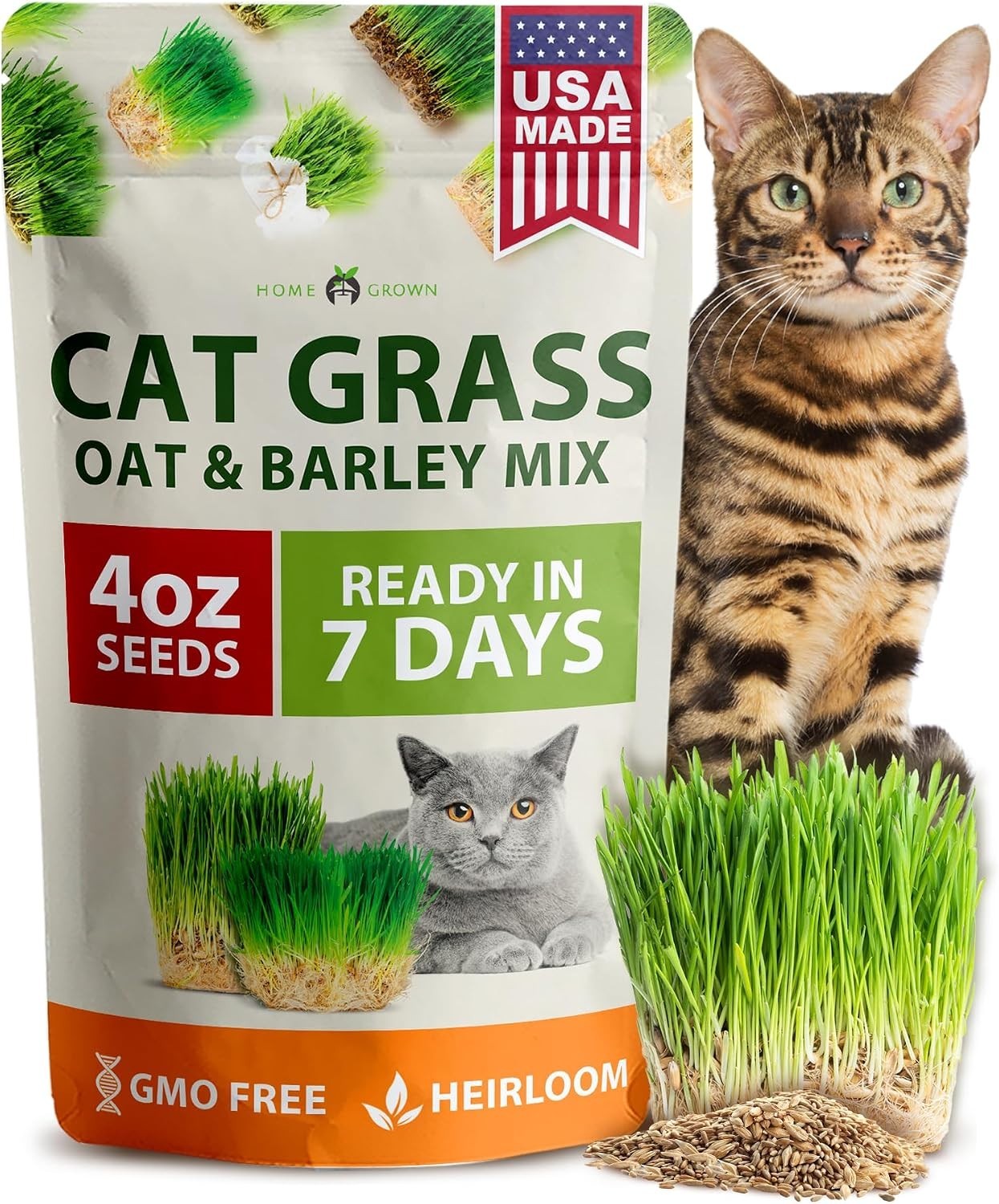 Oat & Barley Cat Grass Seeds – Indoor Digestive Green for Pets