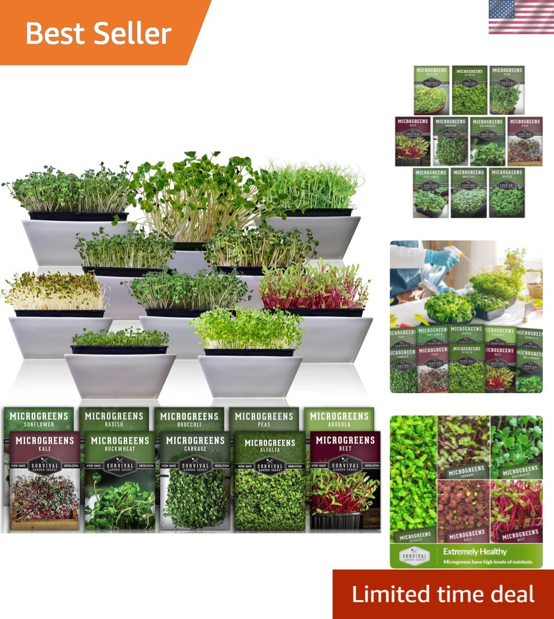 Microgreen Seeds Variety Pack – 10 Heirloom Types for Indoor Sprouting – Broc…