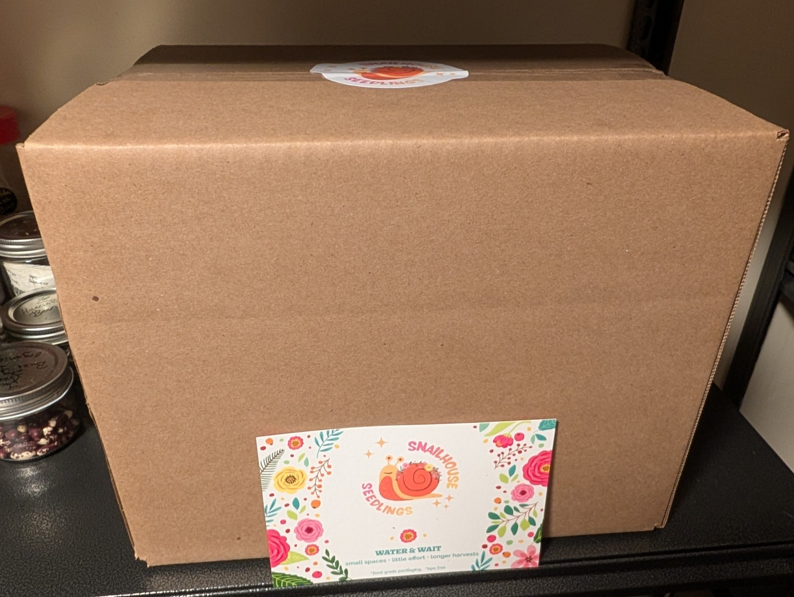 Teddy Bear Sunflowers – SEED SNAIL – Packed with seeds and ready to grow!