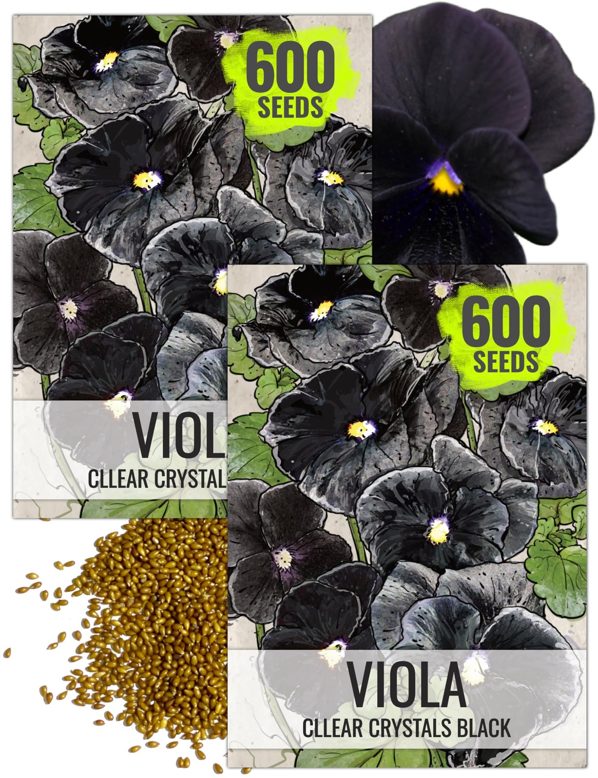 , Clear Crystals Black Pansy Seeds – 600 Heirloom Seeds for Planting Viola x …