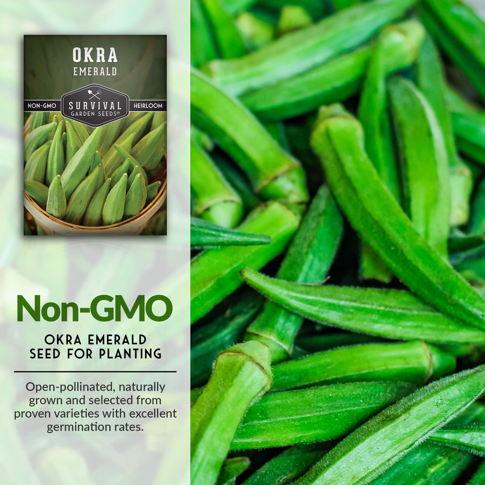 Emerald Okra Seeds for Planting Heirloom Southern Variety with Long Tender P…