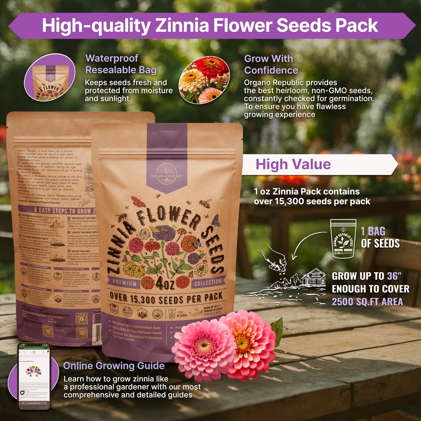 Zinnia Seeds Pack 4 oz – Over 15,300 Non-GMO 4oz, Purple, Pink, Green