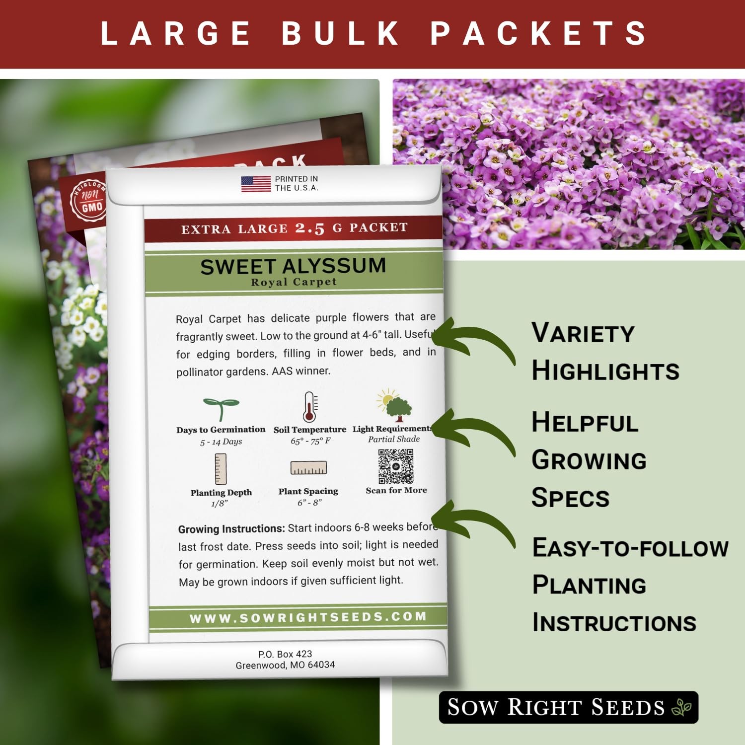 Bulk Alyssum Seeds 6200 NonGMO Heirloom Seeds for Home Flower Garden