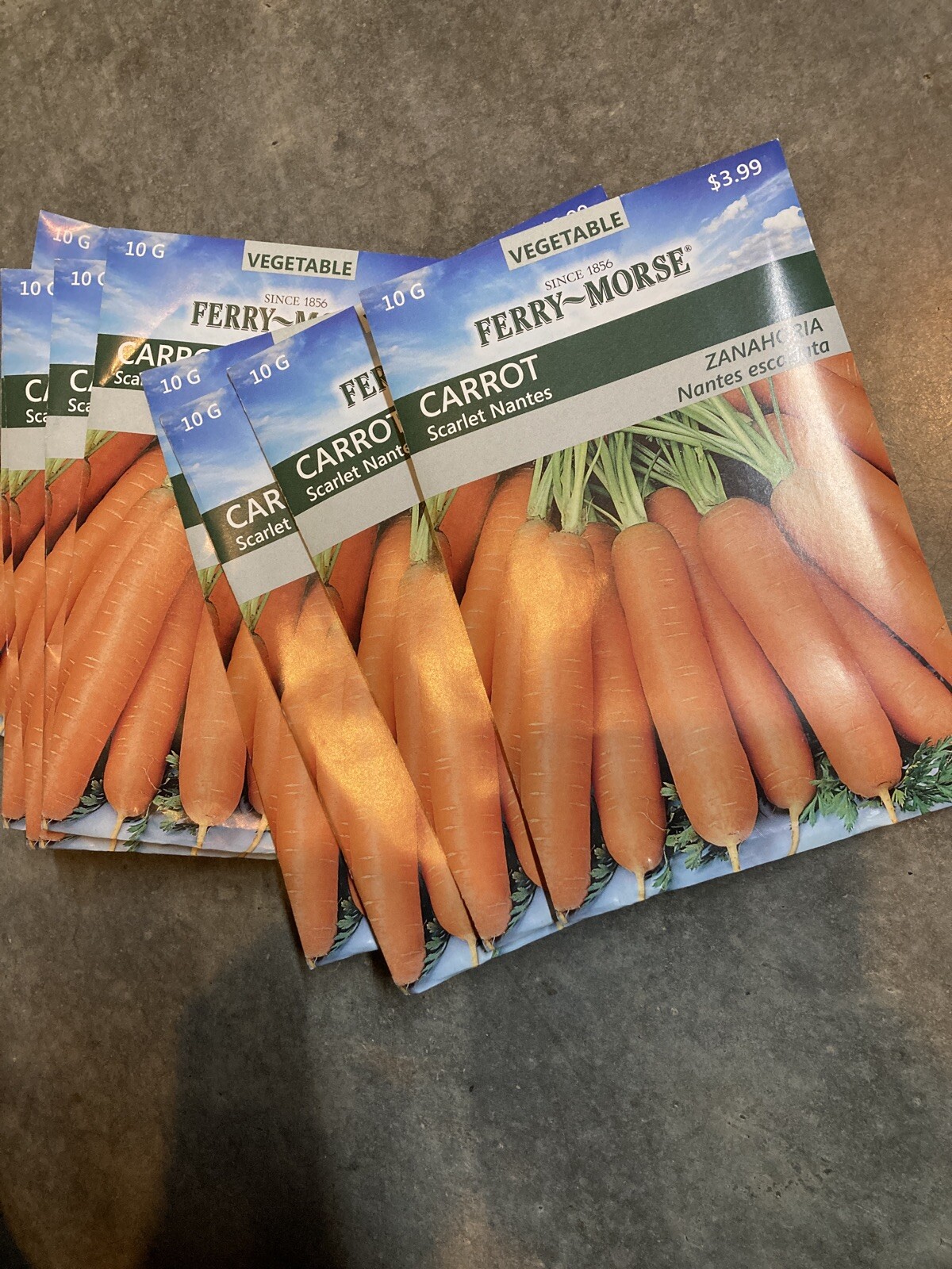 9 Larger Ferry Morse Carrot Scarlet Nantes Seed Packs Free Shipping