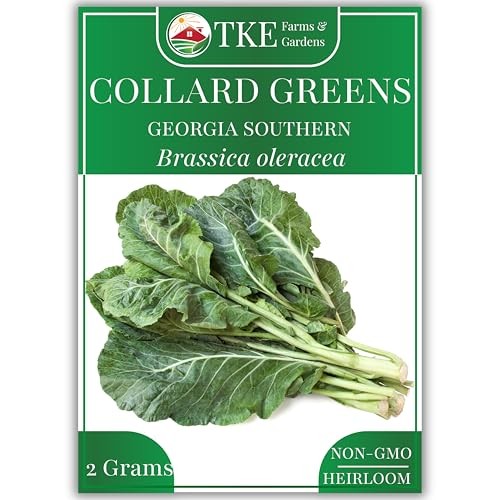 – Georgia Southern Collard Green Seeds for Planting, 2 Grams, 225 Seeds, Non
