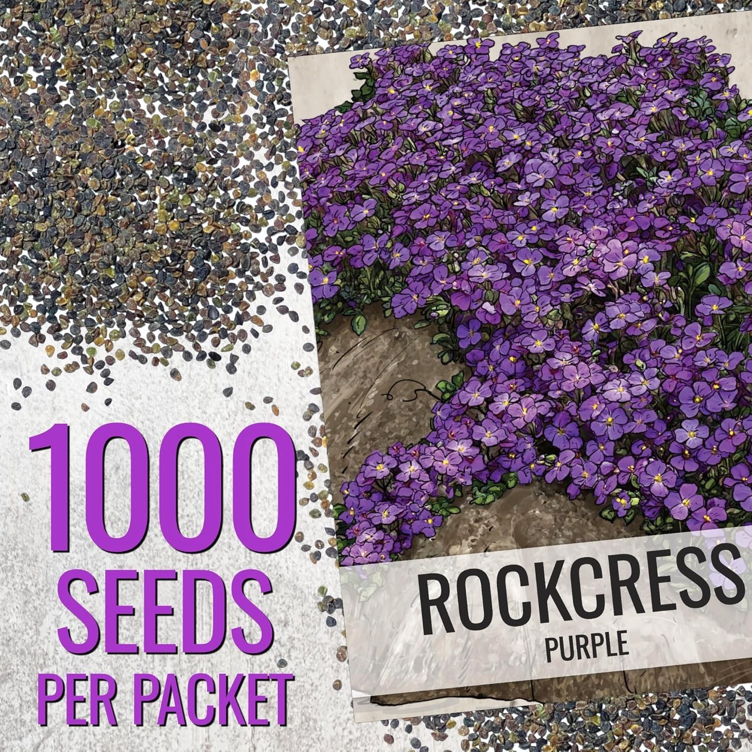 Vibrant Purple Rockcress – Perennial Flower Seeds – Easy Grow for Rock Gardens