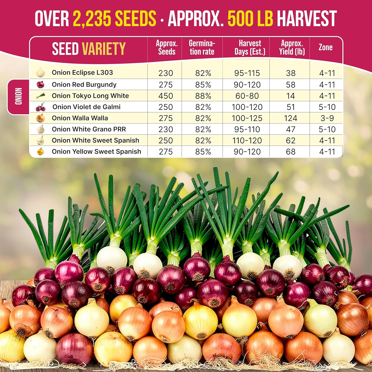 8 Onion Seeds Variety Pack Heirloom, Non-Gmo, Sets for Indoors, Outdoors Gardeni