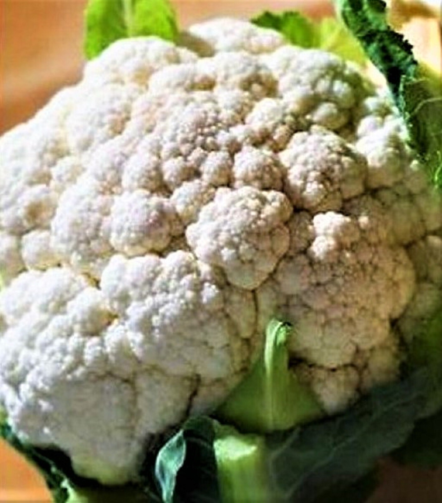 Self Blanching Cauliflower Seeds 200+ SEEDS NON-GMO –BUY 4 ITEMS FREE SHIPPING