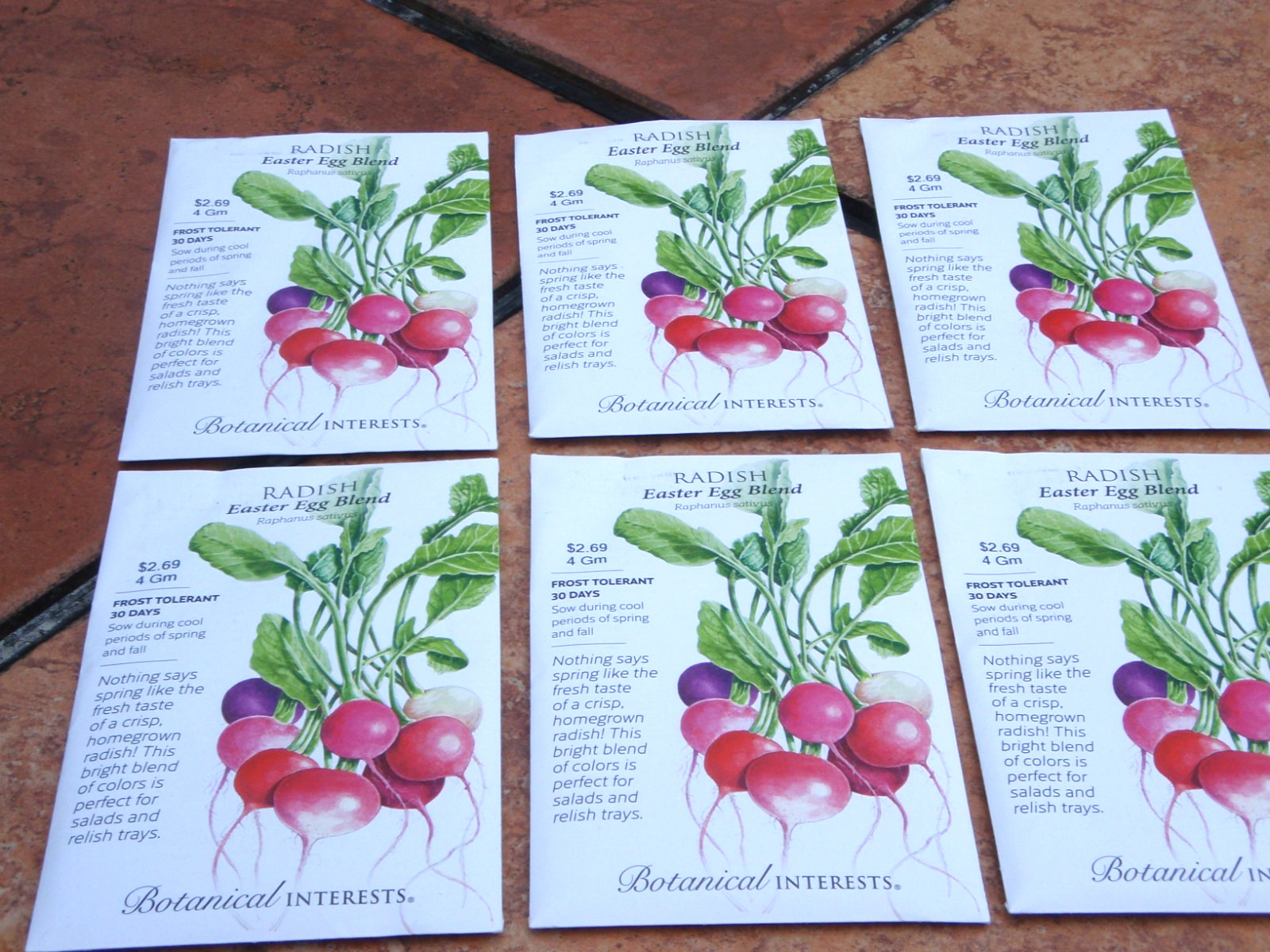 (6 PACK)-BRAND NEW BOTANTICAL INTERESTS EASTER EGG BLEND RADISH-PACKED FOR 2026