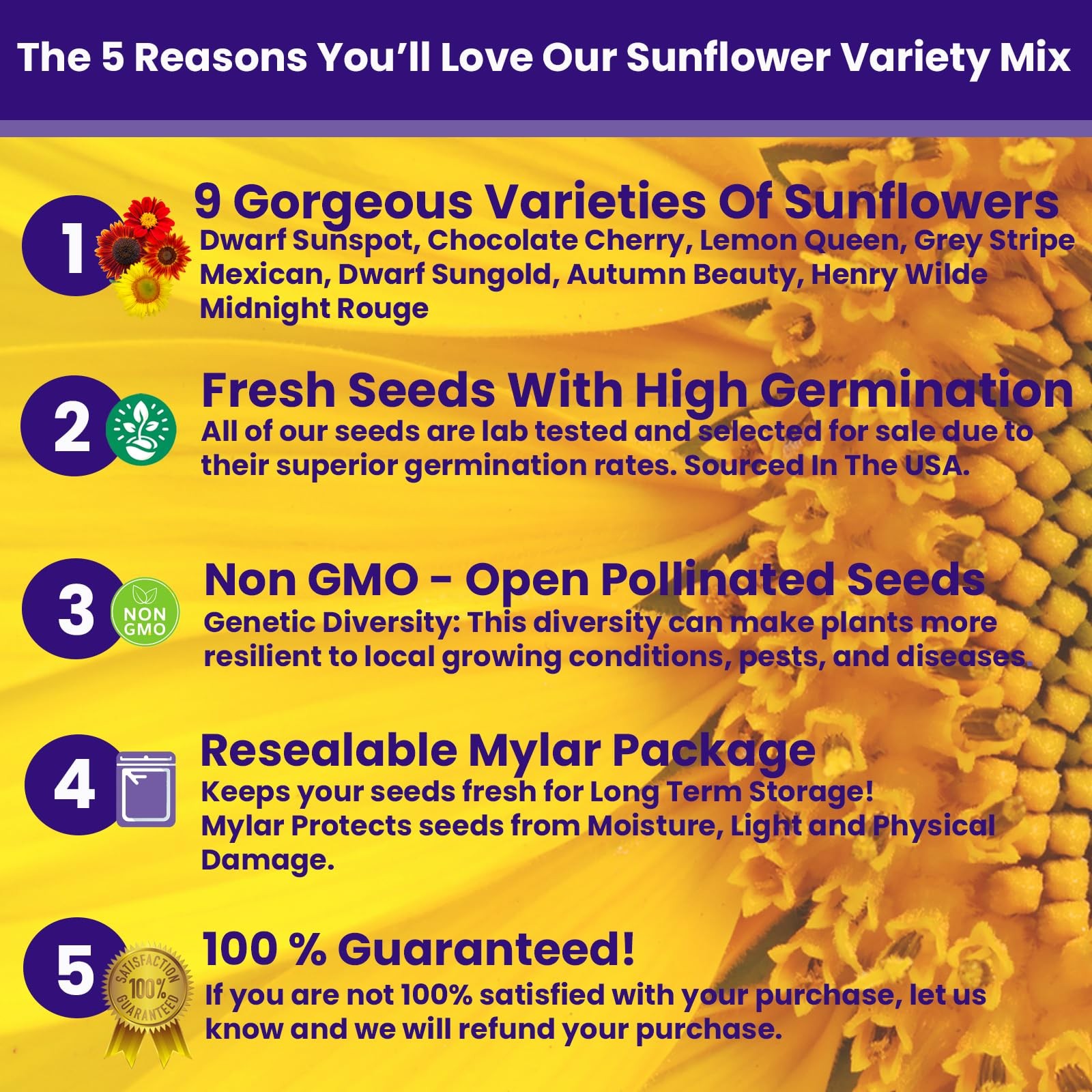 Bulk Sunflower Seeds for Planting Mammoth Dwarf Lemon Queen Giant 2oz