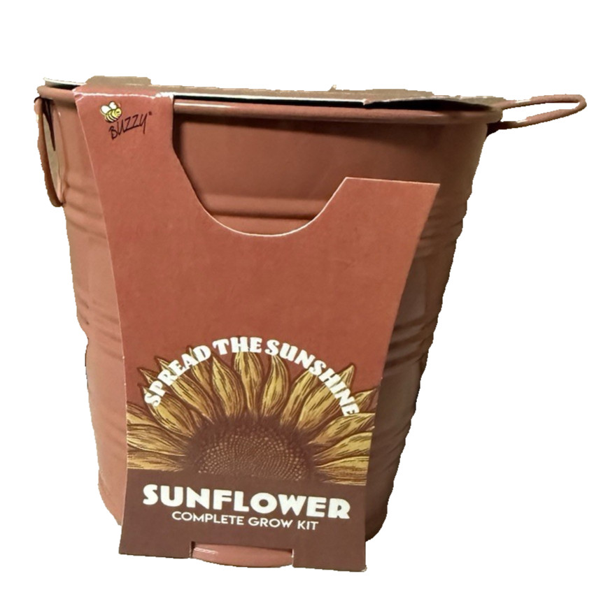 Complete Sunflower Grow Kit in Collectible Tin Pot 4.5″