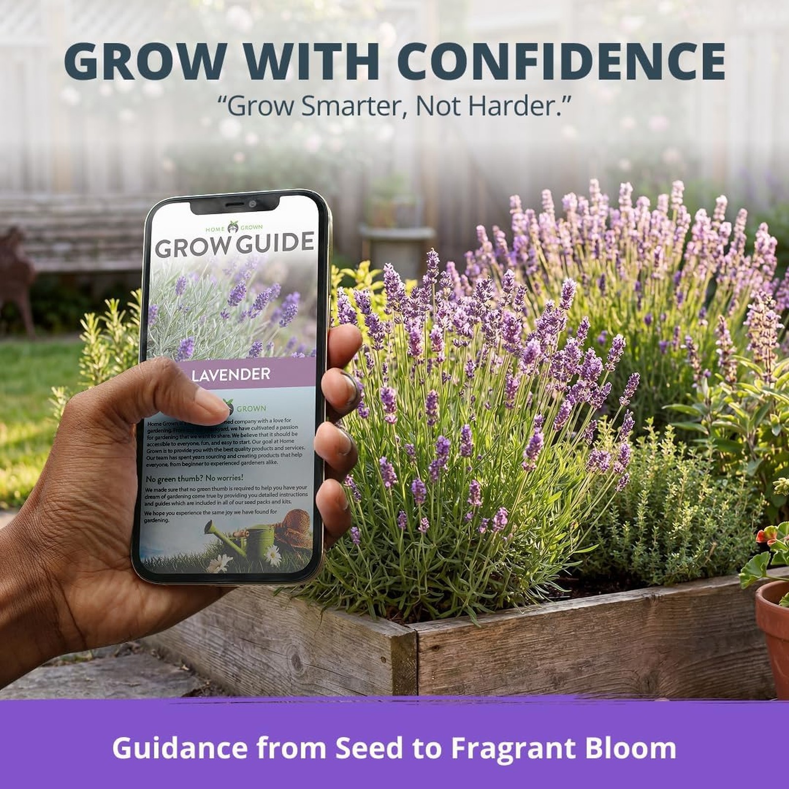 English Lavender Seeds Non GMO 1500 Plus, Plant Indoor Outdoor, Heirloom Vera