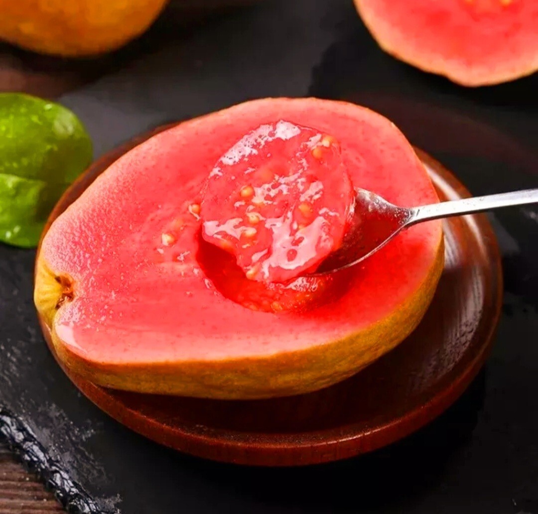 30 Pink Guava Tree Seeds Tropical Strawberry Ruby Supreme Psidium guajava