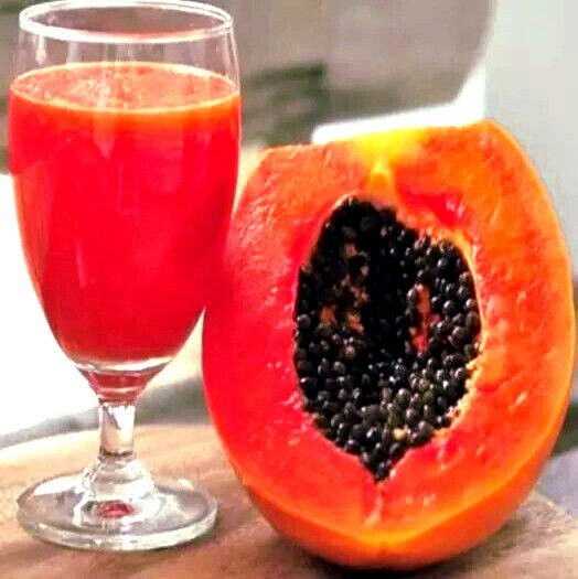 20 “Caribbean Red” Carica Papaya Fruit Tree Seeds “LARGE MELONS” Indoor Plant