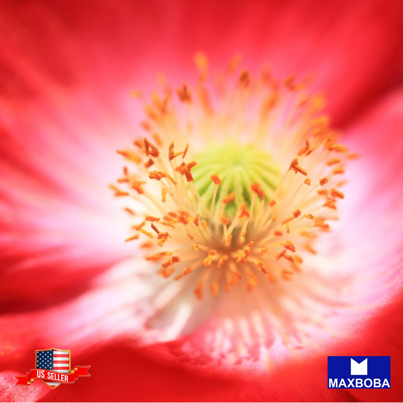 2500 Double Mixed Shirley Poppy Seeds Non-GMO