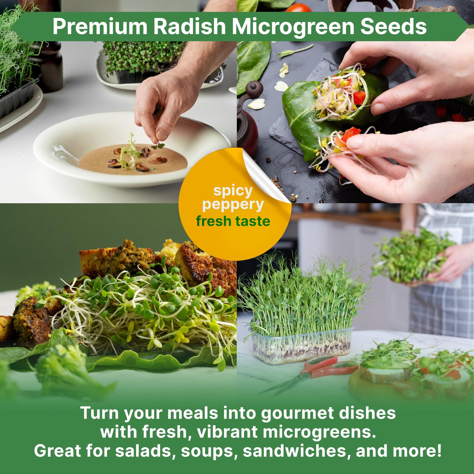 NonGMO Radish Microgreens Seeds Kit 1lb Resealable Bag for Growing