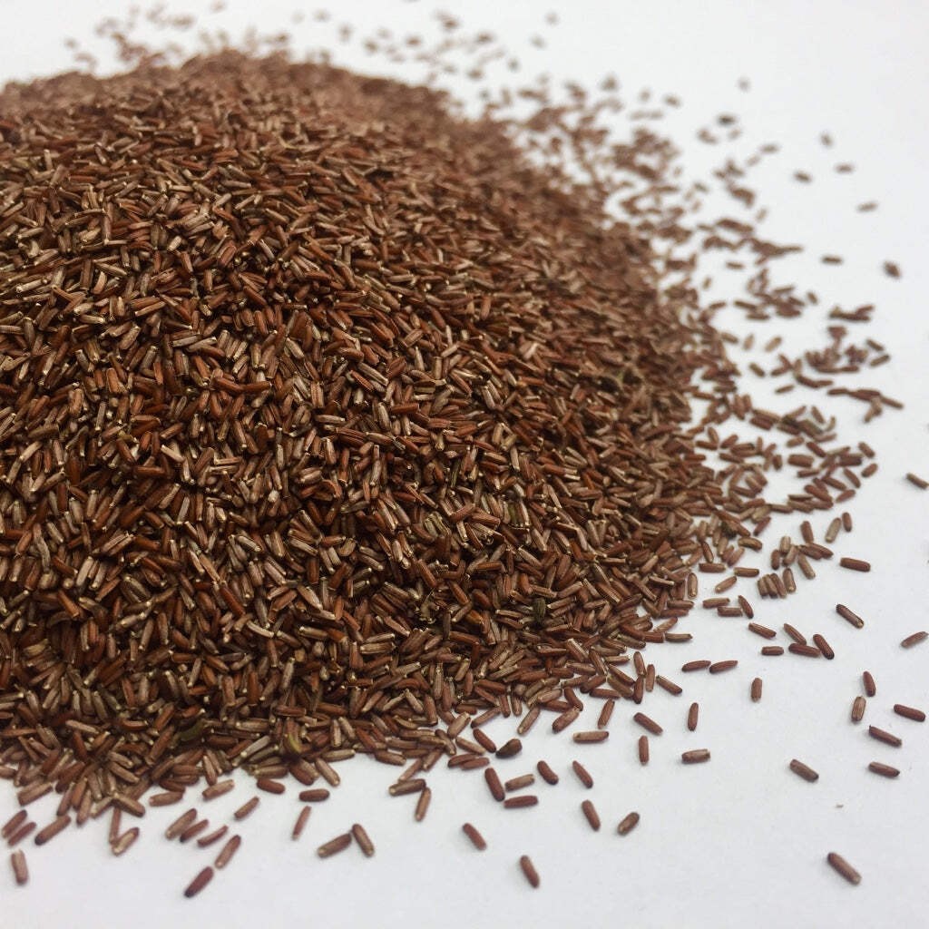Blue Vervain Seeds (Verbena hastata) ~Traditional Herb Native Wildflower Garden