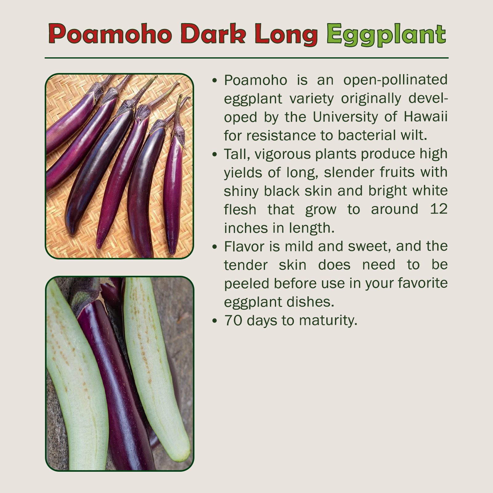 20 Organic Hawaiian Poamoho Dark Long Eggplant Seeds, Disease Resistant, Non-GMO